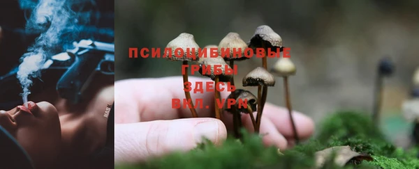 кокс Аркадак