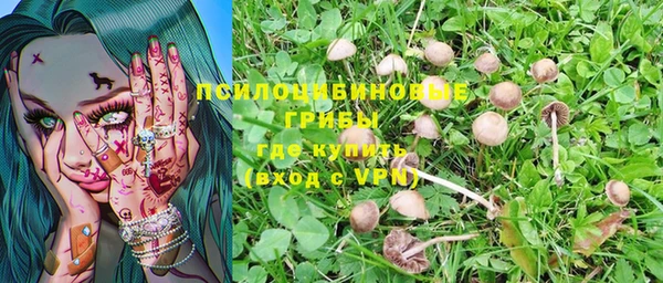 кокс Аркадак